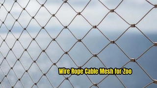 Penerapan jaring kandang burung kebun binatang stainless steel 316