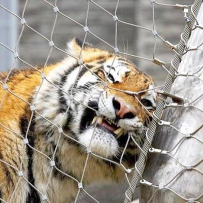 Pagar Jaring Kawat Tali Baja Tahan Karat untuk Kebun Binatang Kekuatan Tinggi