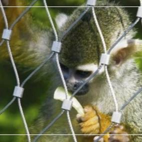 Jaring Kawat Tali Baja Tahan Karat 316 untuk Kandang Hewan Kebun Binatang