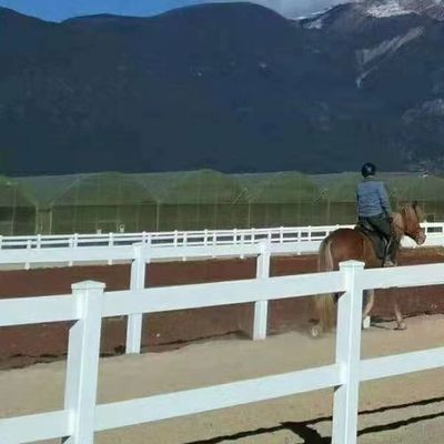 Stabil Putih Hitam Warna PVC Paving Rel Ranch Paddock Paving Kuda