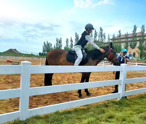 Pagar Peternakan PVC 3 Rel Kuda Paddock Ranch Mudah Instalasi