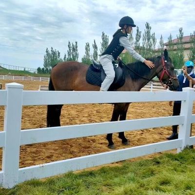 Putih 3rails PVC Horse Fence Stabil Plastik Horse Field Fencing