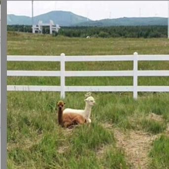 3 Rel 1,8*2,5m PVC Farm Fence Plastik Vinyl Ranch Paddock Horse Fence