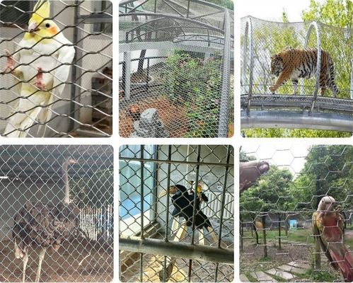 304 Stainless Steel Cable Mesh Black Oxidation untuk Zoo Aviary