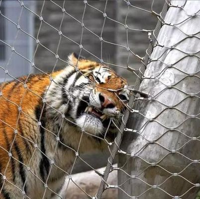Ringan Tinggi Kekuatan 304 316 stainless steel Wire Rope Mesh Untuk Zoo Pagar