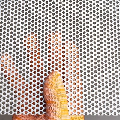 Stainless Steel Small Hole Perforated Mesh Untuk Speaker Grille Sheet