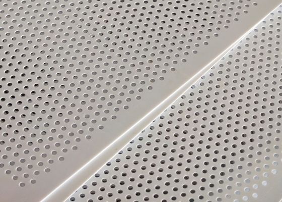 Panel Mesh Panel Plastik PVC Putih Berlubang Tipis Untuk Industri Makanan