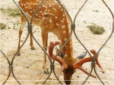 Jaring Tali Baja Tahan Karat Fleksibel Anyaman Tangan dengan Dimensi Batas yang Dapat Disesuaikan untuk Pagar Pembatas dan Kandang Kebun Binatang