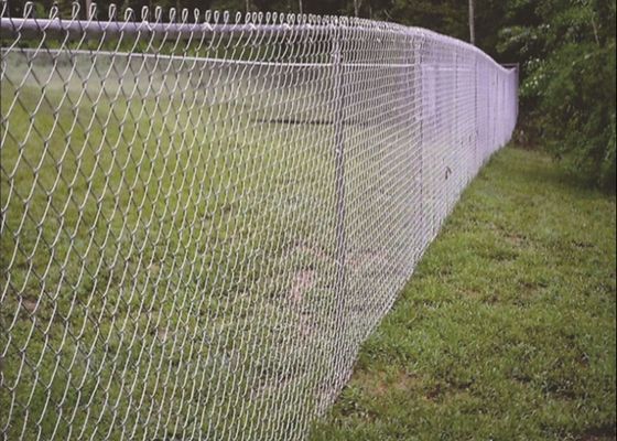 Hot Dip Galvanized Chain Link Pagar 6ft 8ft 30m 50m Roll