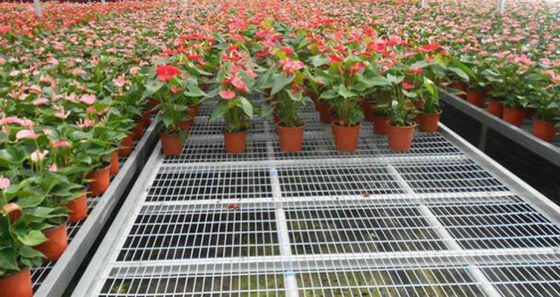 Panel Kawat Las Galvanis 50x50mm Tebal 3mm