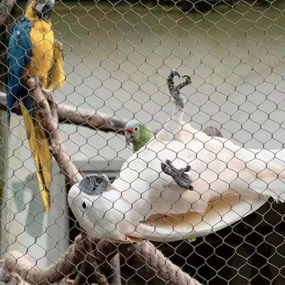Jaring Tali Baja Tahan Karat dengan Bentuk Lubang Berlian Tahan UV dan Garansi 10 Tahun untuk Pagar Kebun Binatang dan Aviari