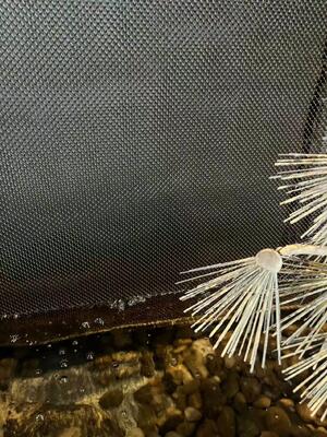 Tirai Kumparan Dekoratif Stainless Steel Untuk Jaring Dinding Air Terjun