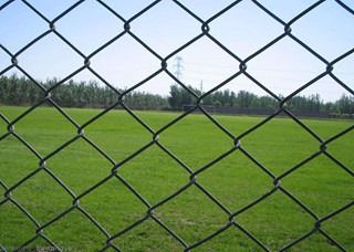 11.5 gauge Green PVC Coated Galvanized Steel Chain Link Anggar 20m 30m