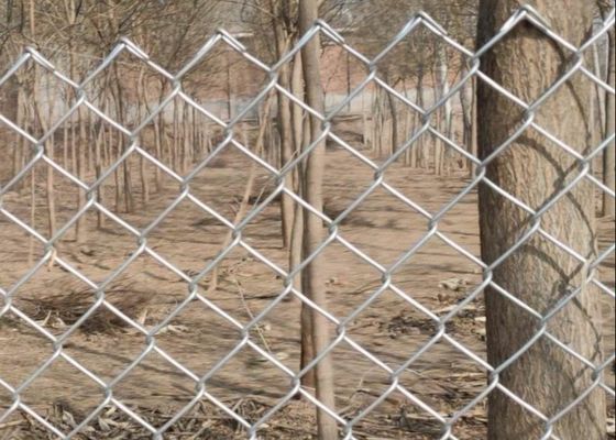 6 Ft X 50 Ft 4.8mm Galvanized Chain Link Pagar Lubang Berlian